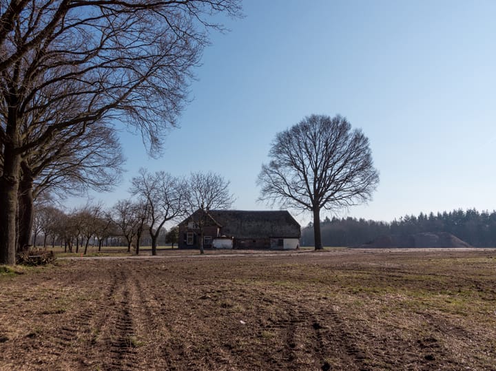 Photo 29 of Steunenbergerweg