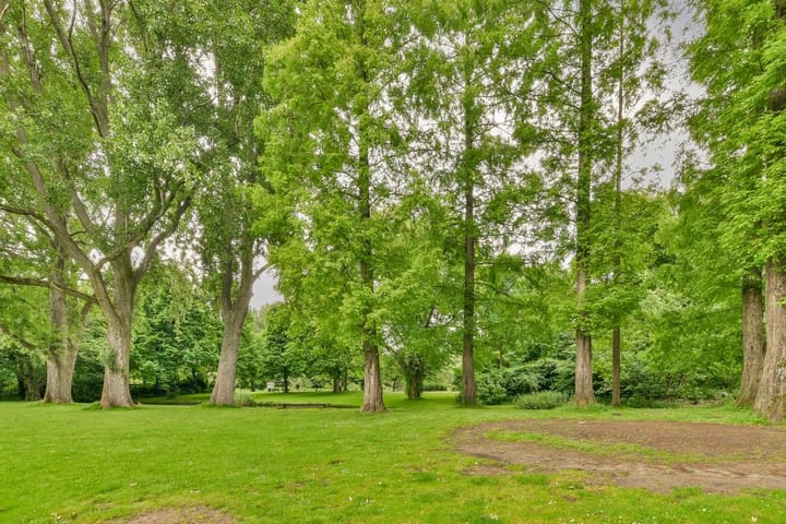 Foto 30 van Jekerstraat 110-3