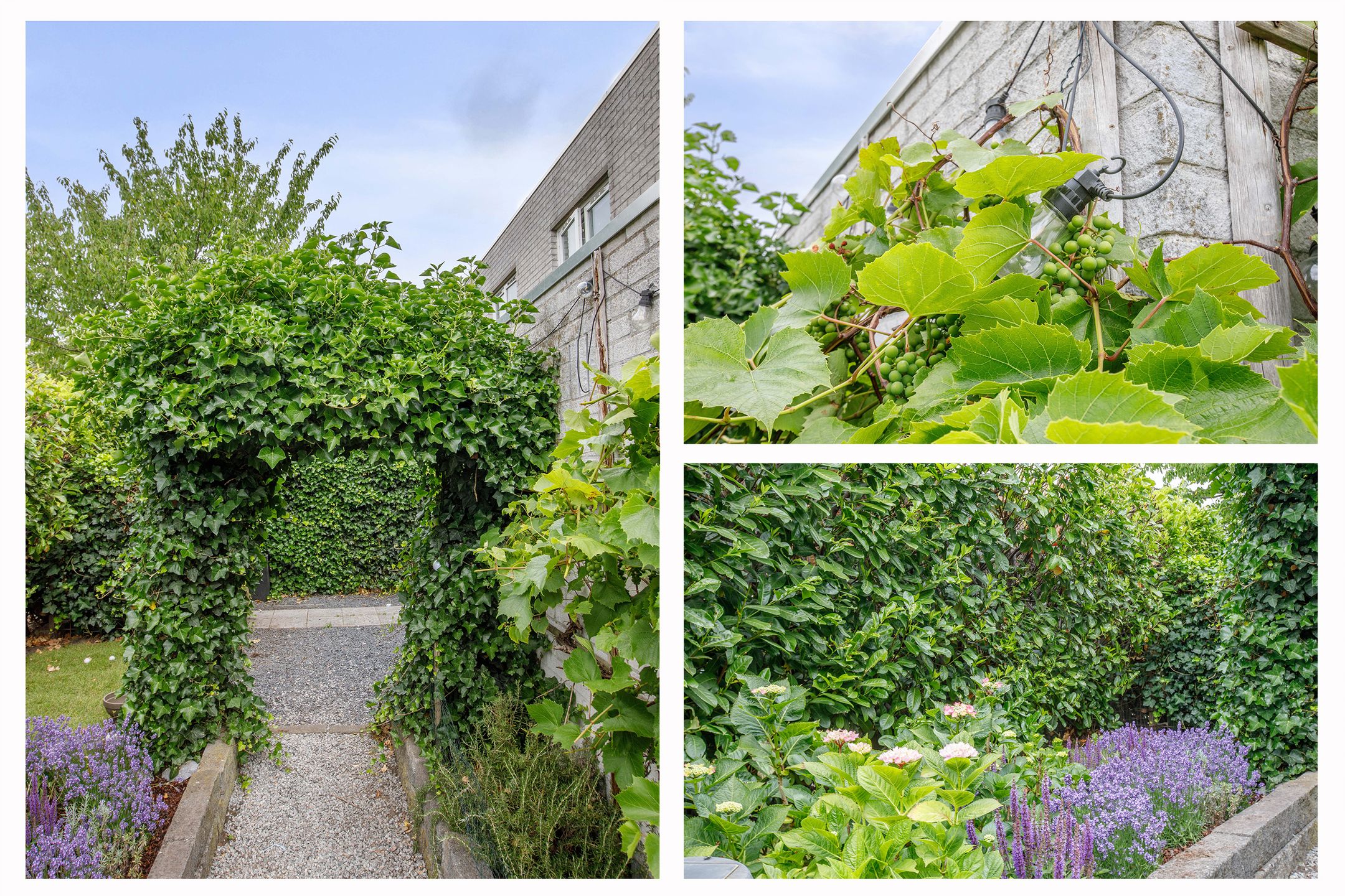 Foto 48 van Wessel Ilckenstraat 8