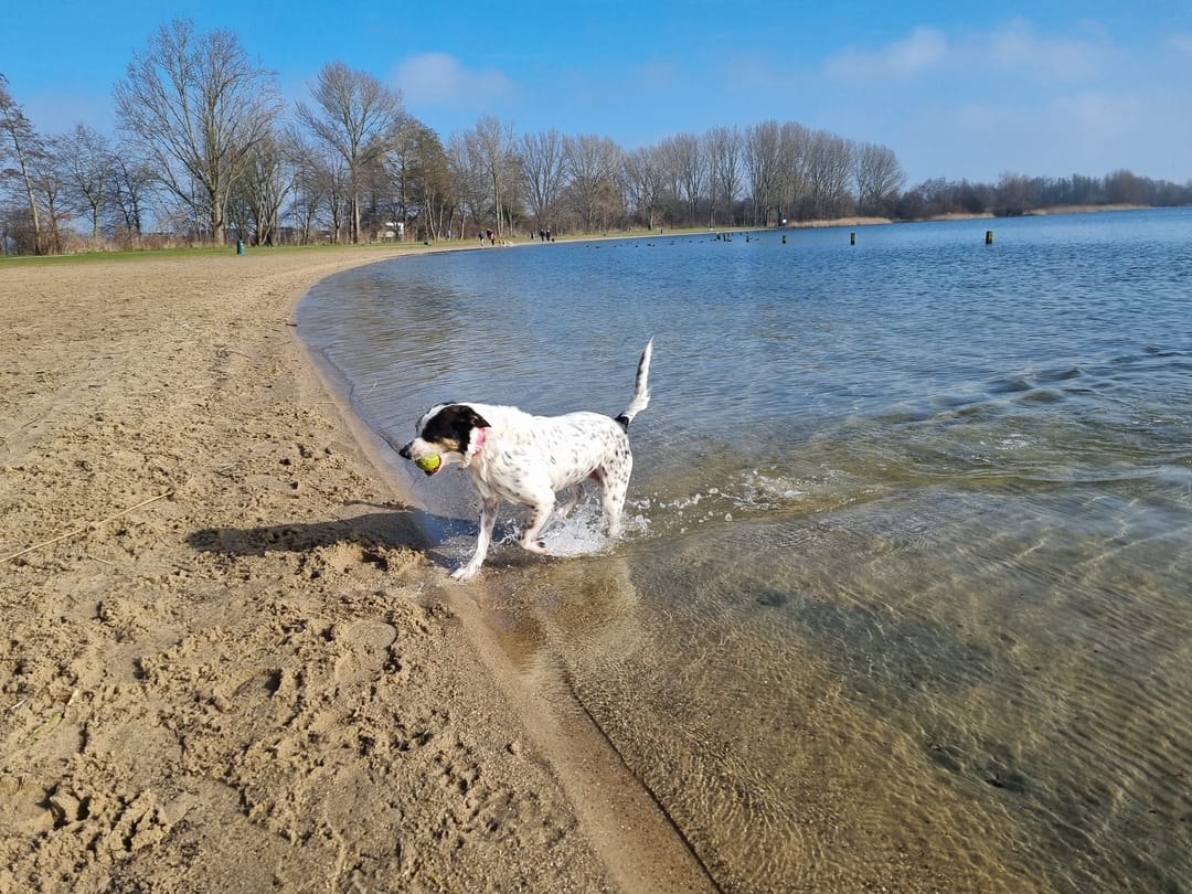 Foto 58 van Wessel Ilckenstraat 8