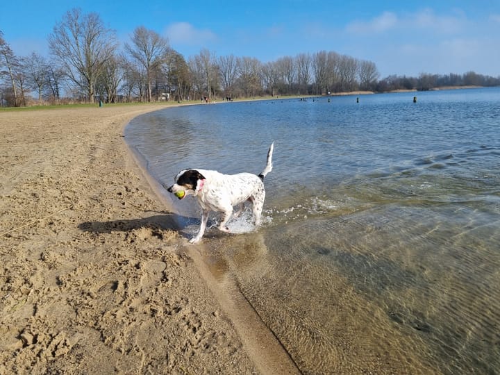 Foto 58 van Wessel Ilckenstraat 8