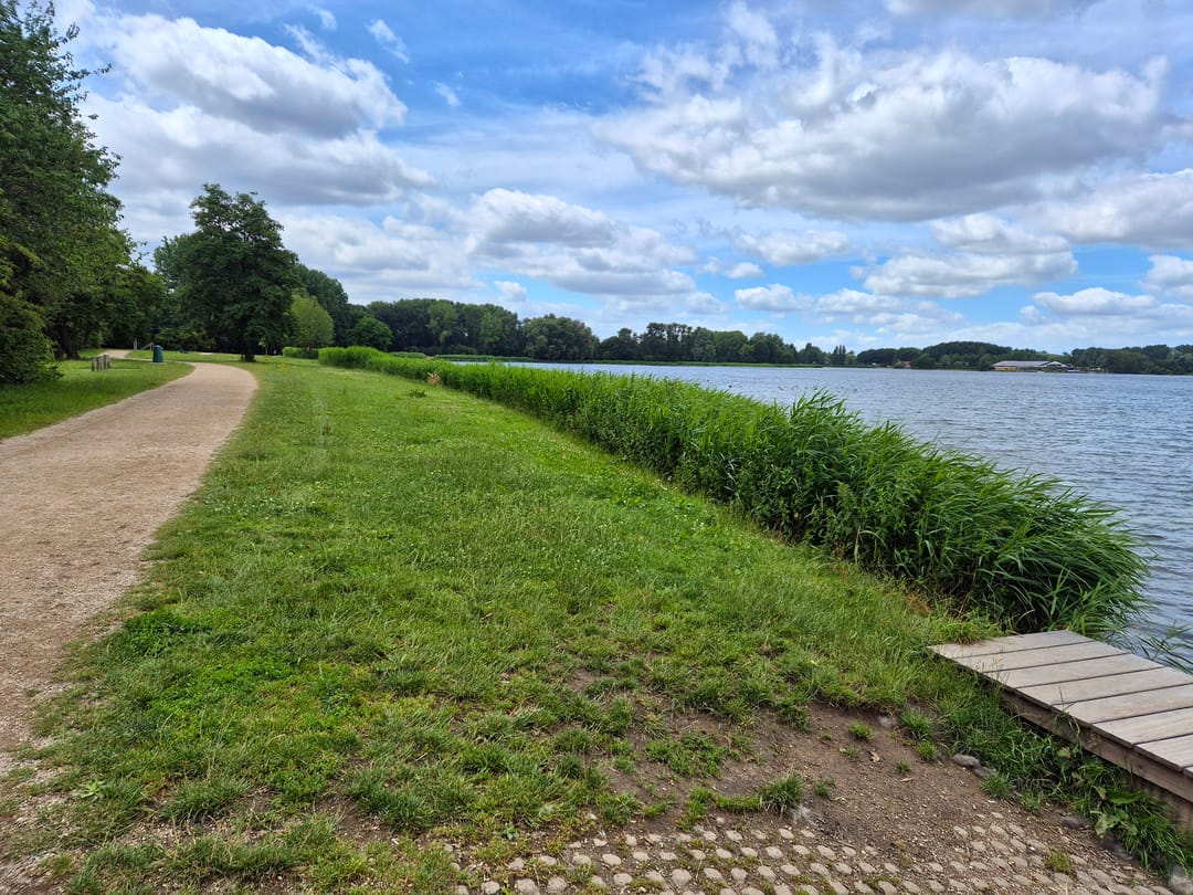 Foto 61 van Wessel Ilckenstraat 8