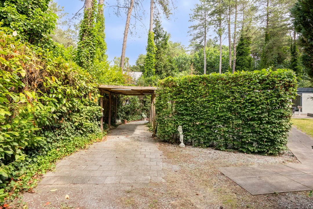 Foto 7 van De Stille Wille 36