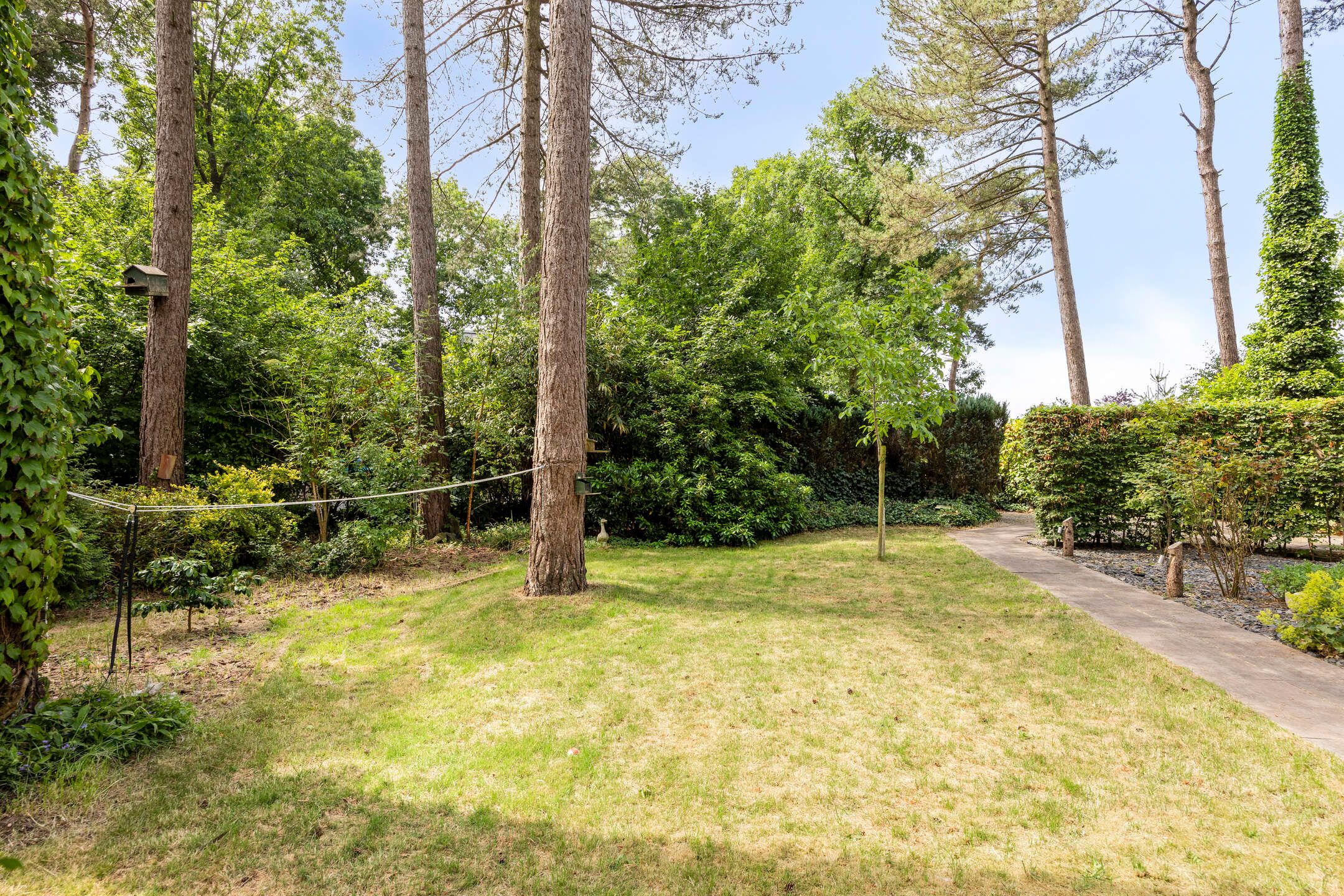 Foto 24 van De Stille Wille 36