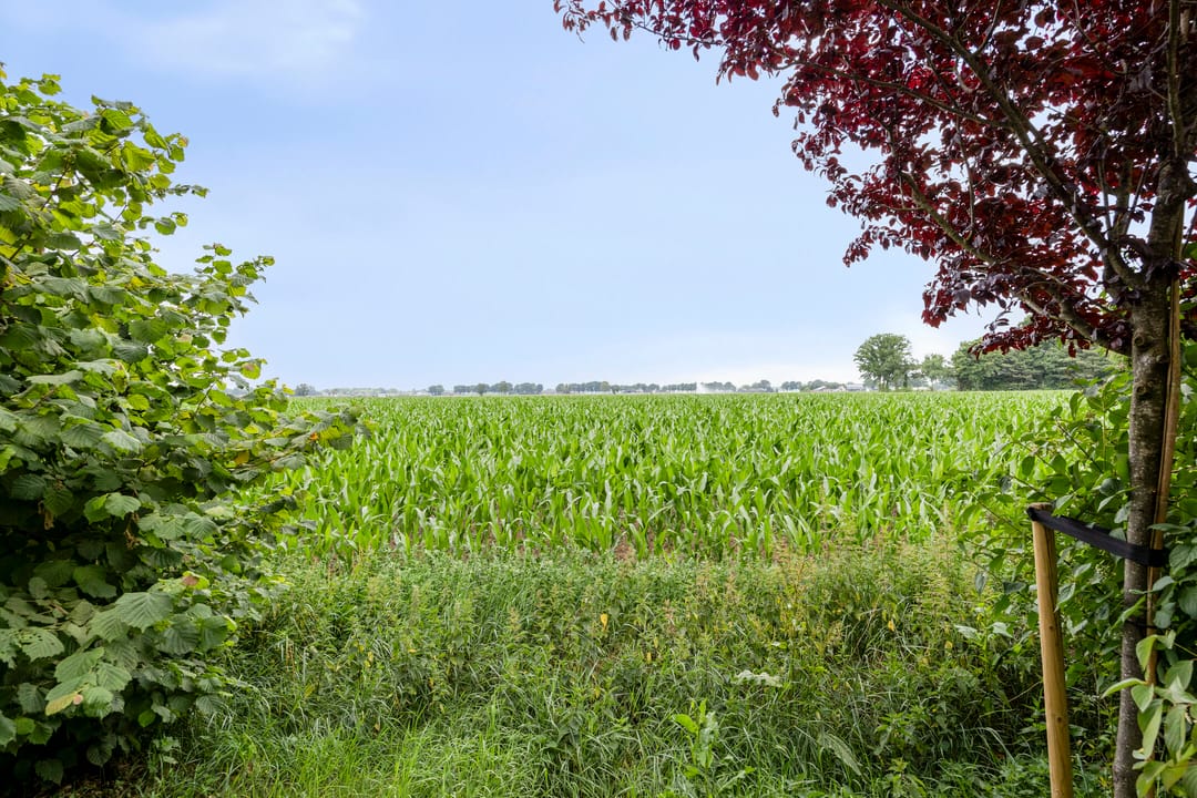 Foto 28 van De Stille Wille 36