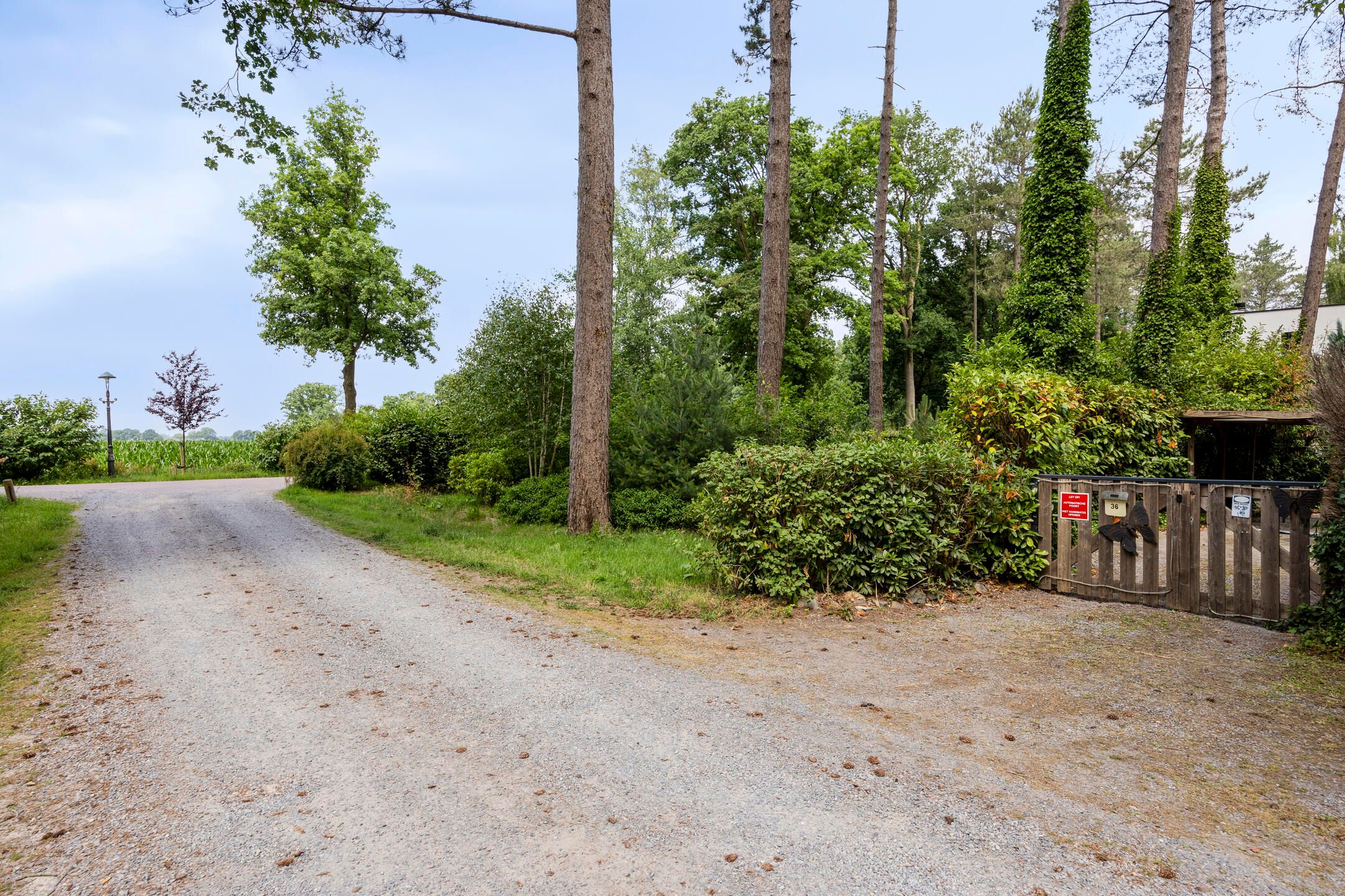 Foto 33 van De Stille Wille 36