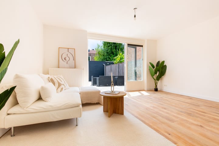 Foto 5 van Zeedistel 33