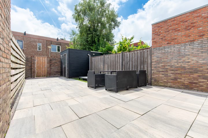 Foto 6 van Zeedistel 33