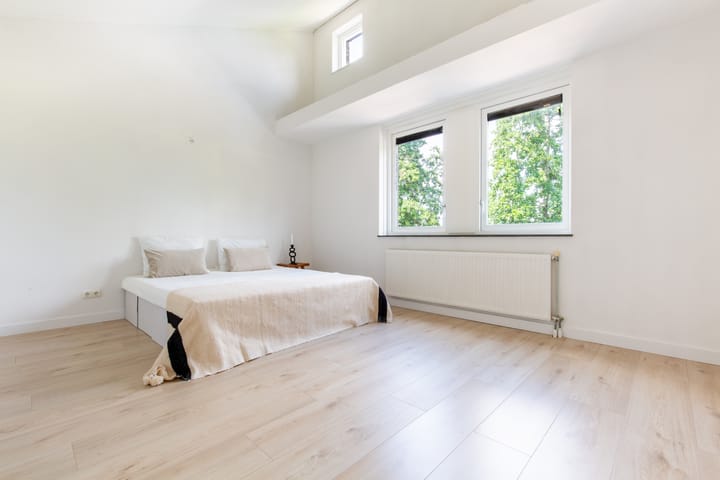 Foto 12 van Zeedistel 33