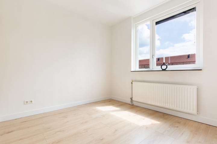 Foto 14 van Zeedistel 33