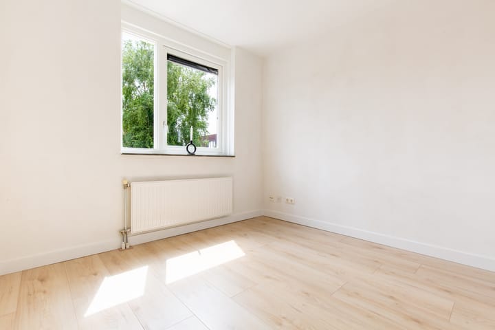 Foto 15 van Zeedistel 33