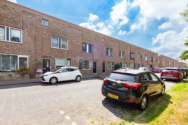 Foto 19 van Zeedistel 33