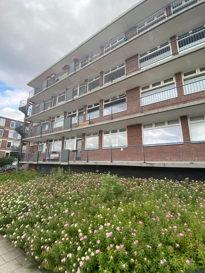 Foto 1 van Oltmansstraat 21