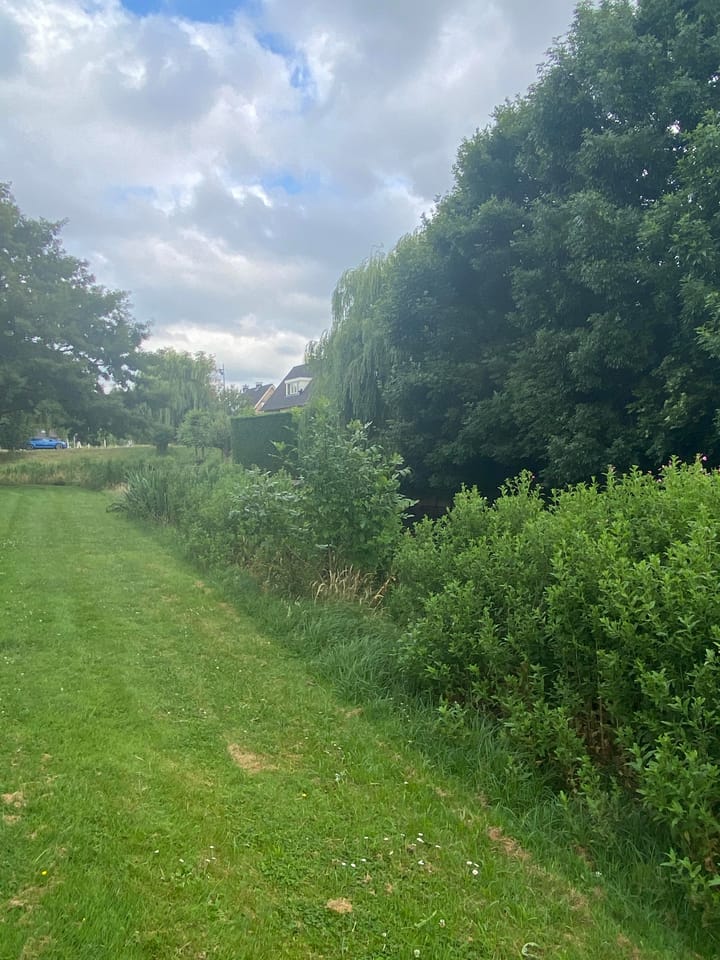 Foto 14 van Oltmansstraat 21