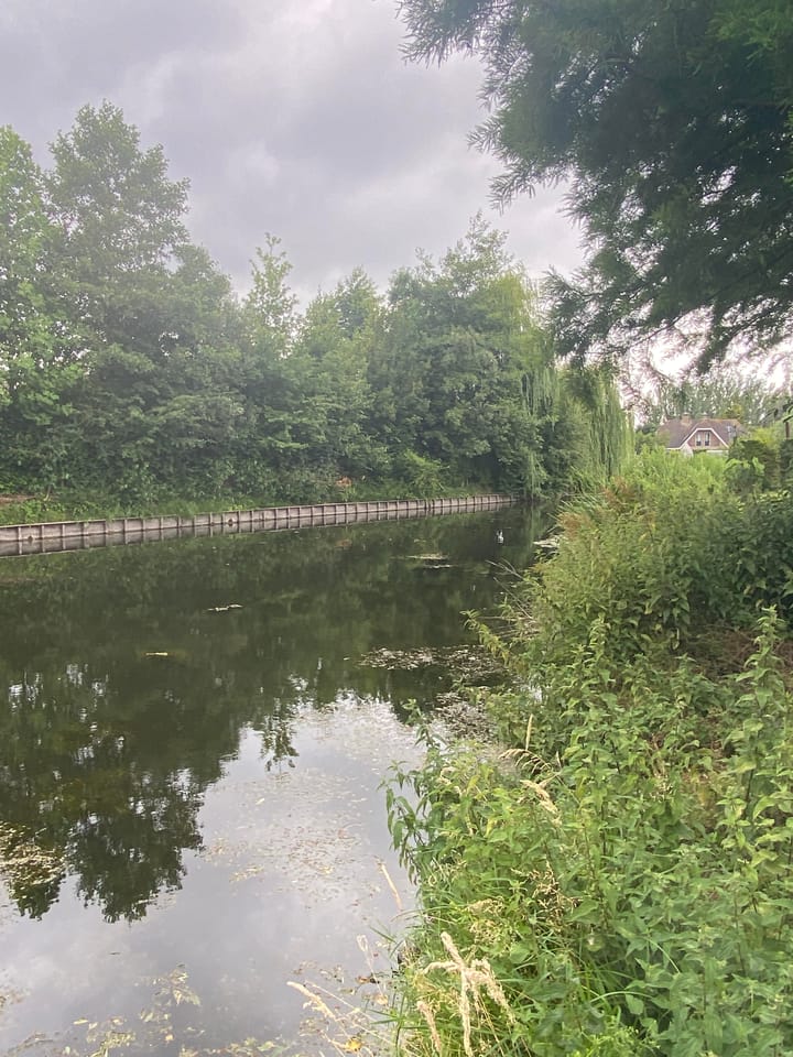 Foto 15 van Oltmansstraat 21