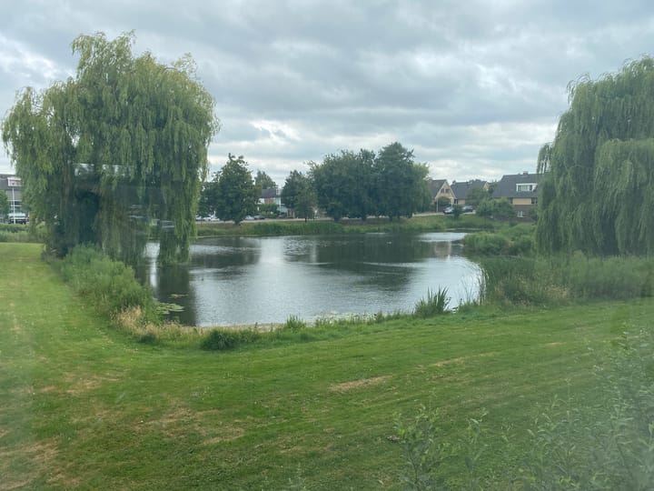 Foto 13 van Oltmansstraat 21