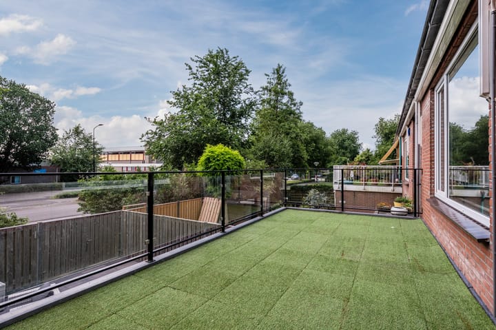 Foto 12 van Mouton 4