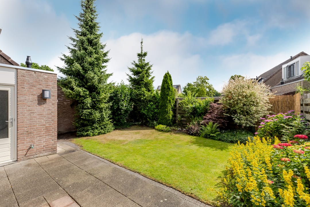 Foto 26 van de Korenaar 77