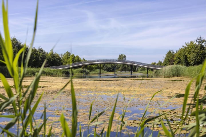 Photo 42 of Melissekade 221