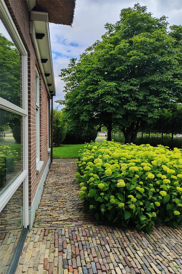 Foto 86 van Weerwilleweg 13