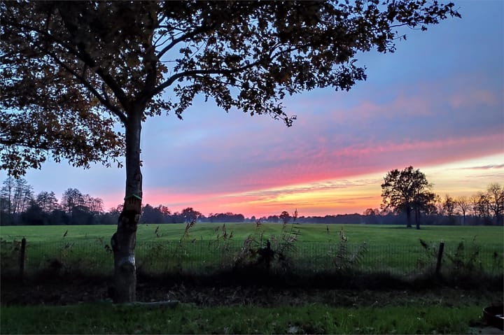 Foto 88 van Weerwilleweg 13