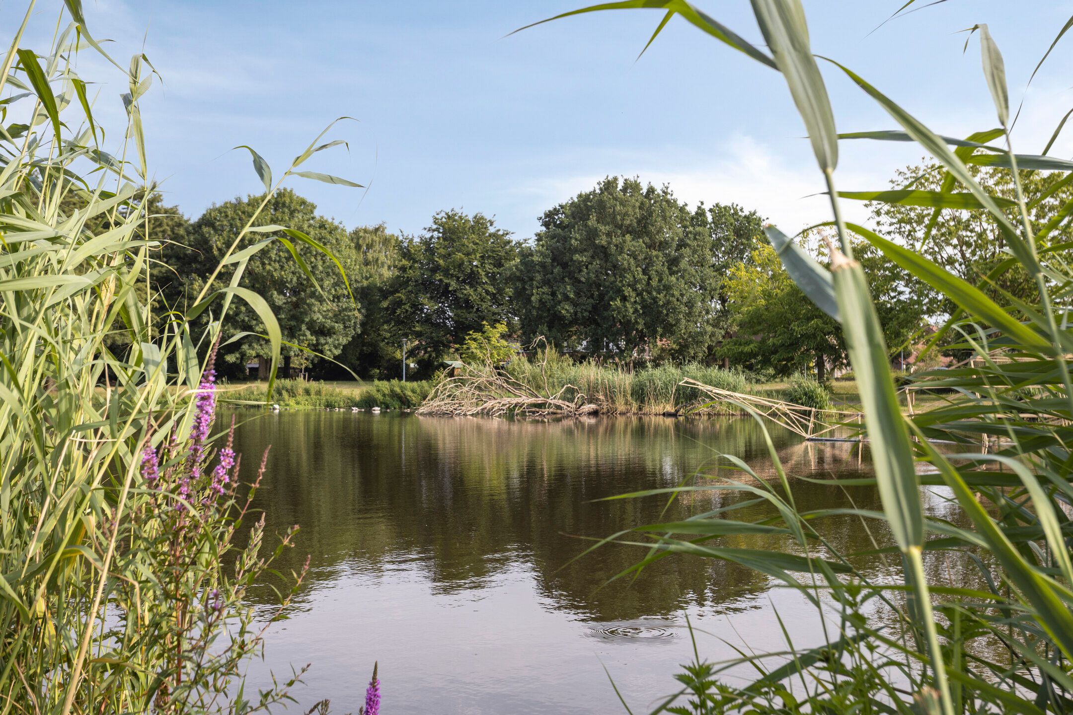 Foto 36 van Tienakker 42