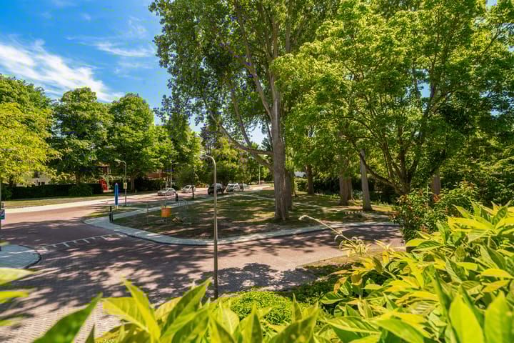 Foto 66 van Storm van 's-Gravesandeweg 10