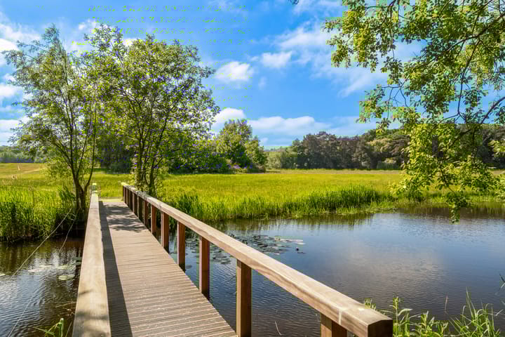 Foto 67 van Storm van 's-Gravesandeweg 10