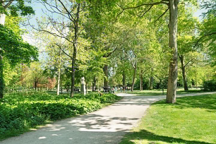 Foto 24 van Van Bossestraat 62-3