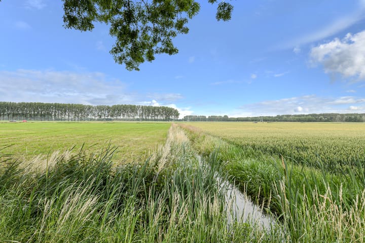 Foto 41 van Wiardi Beckmanhof 35