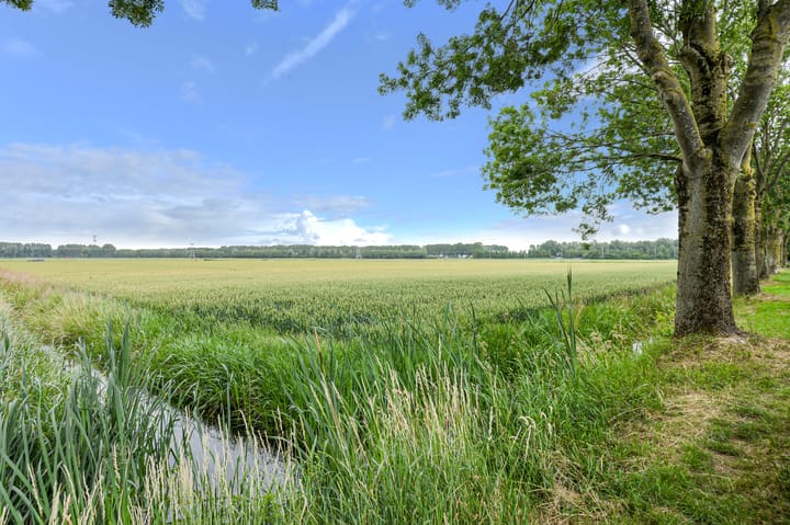 Foto 42 van Wiardi Beckmanhof 35