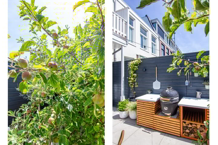 Foto 31 van Aelbertsbergstraat 32