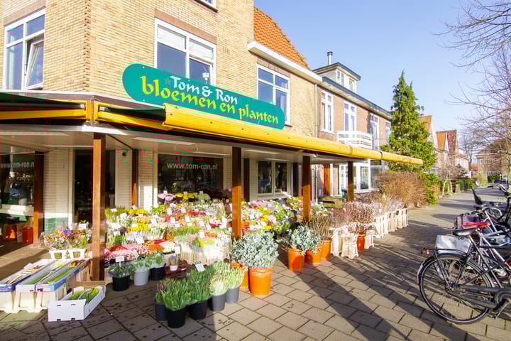 Foto 69 van Aelbertsbergstraat 32