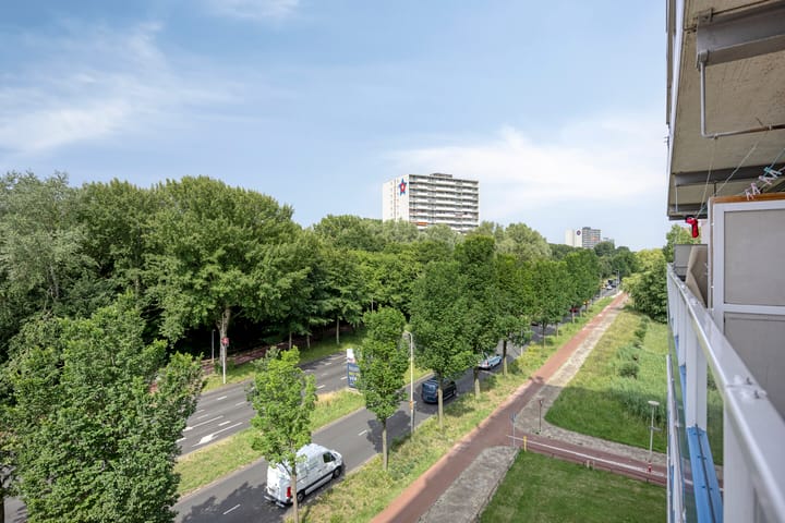 Photo 36 of Schoutendreef 381