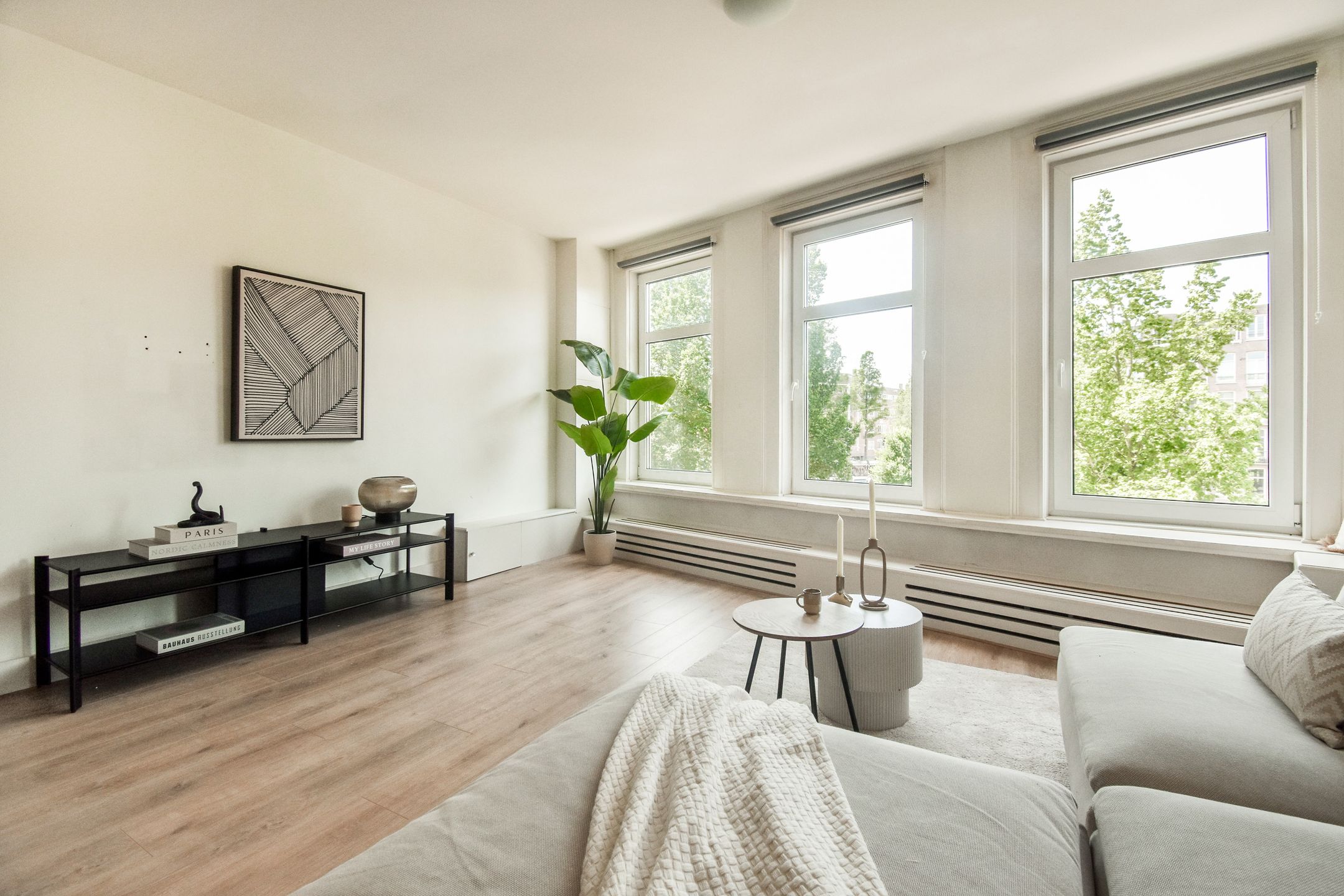 Foto 3 van Ruysdaelkade 177-2