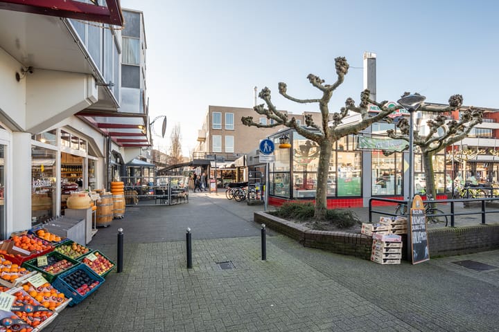 Foto 20 van Mondriaanplein 8