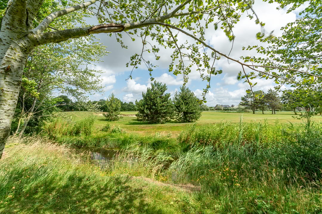 Foto 2 van Ooghduyne 4