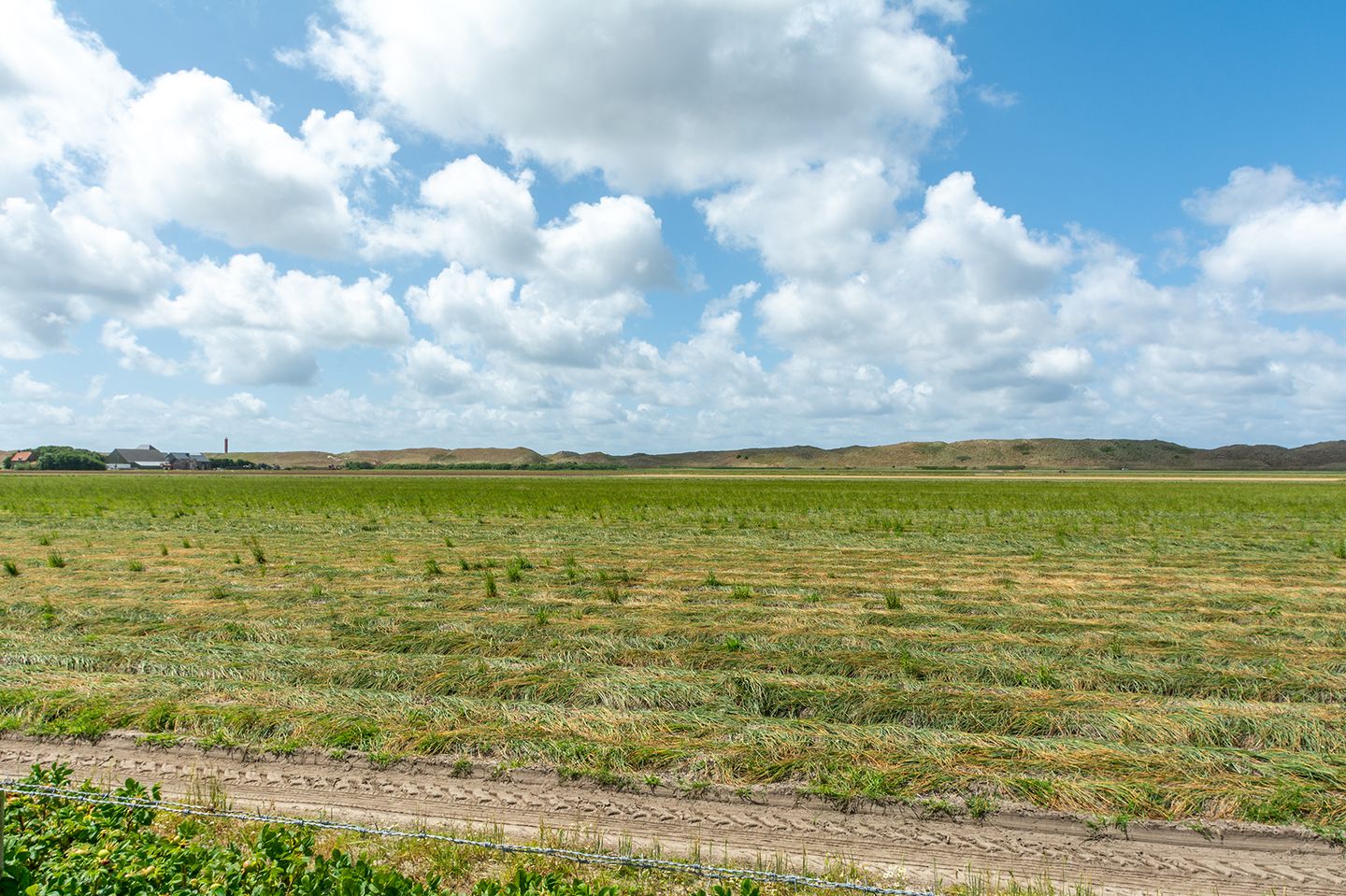 Foto 4 van Ooghduyne 4