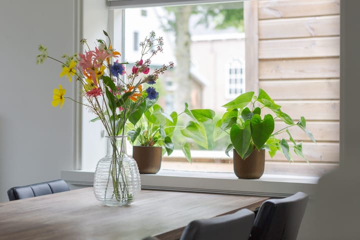 Foto 2 van Nessenwei 7