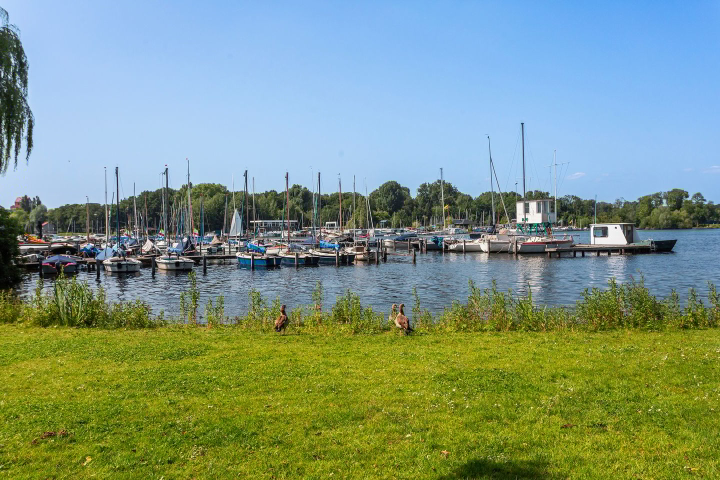 Foto 35 van Jeruzalemstraat 32-A