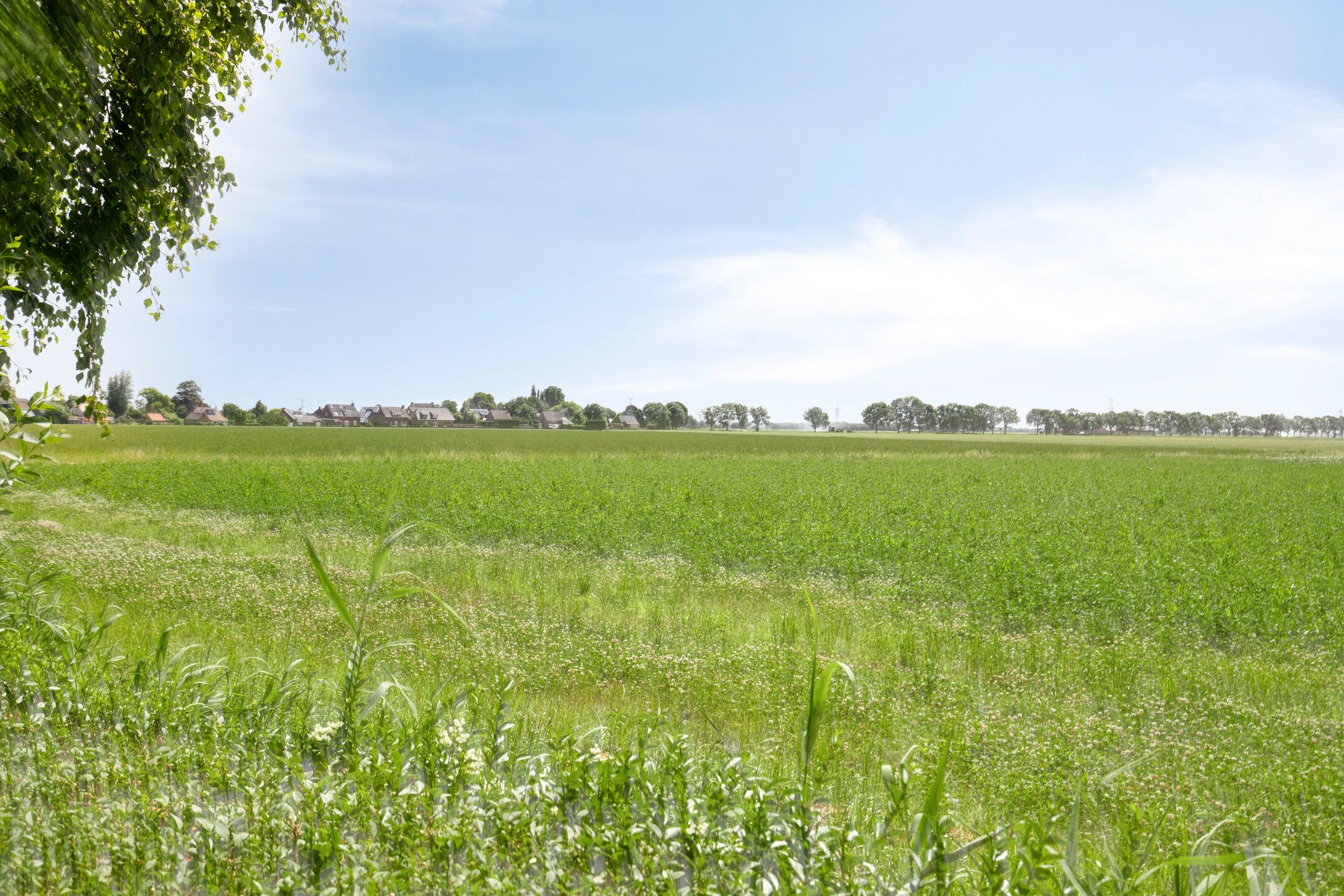 Foto 33 van Oudlandstraat 7