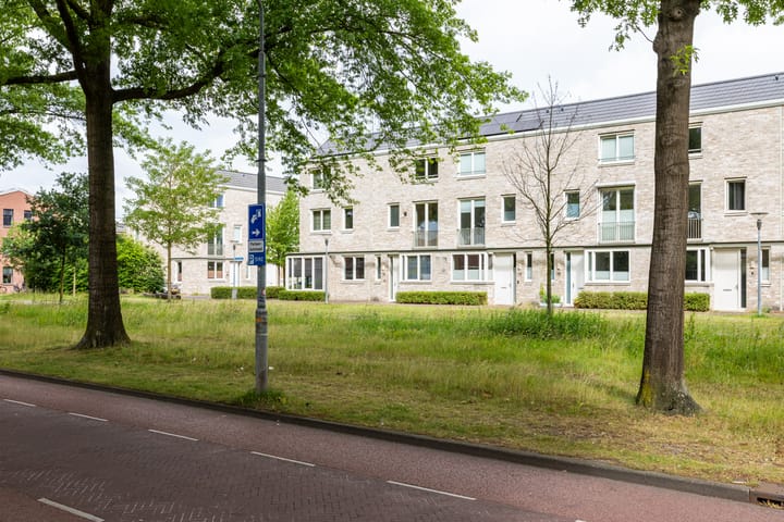 Foto 35 van Halvemaanstraat 14