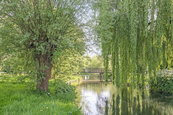 Photo 35 of Voorplecht 1