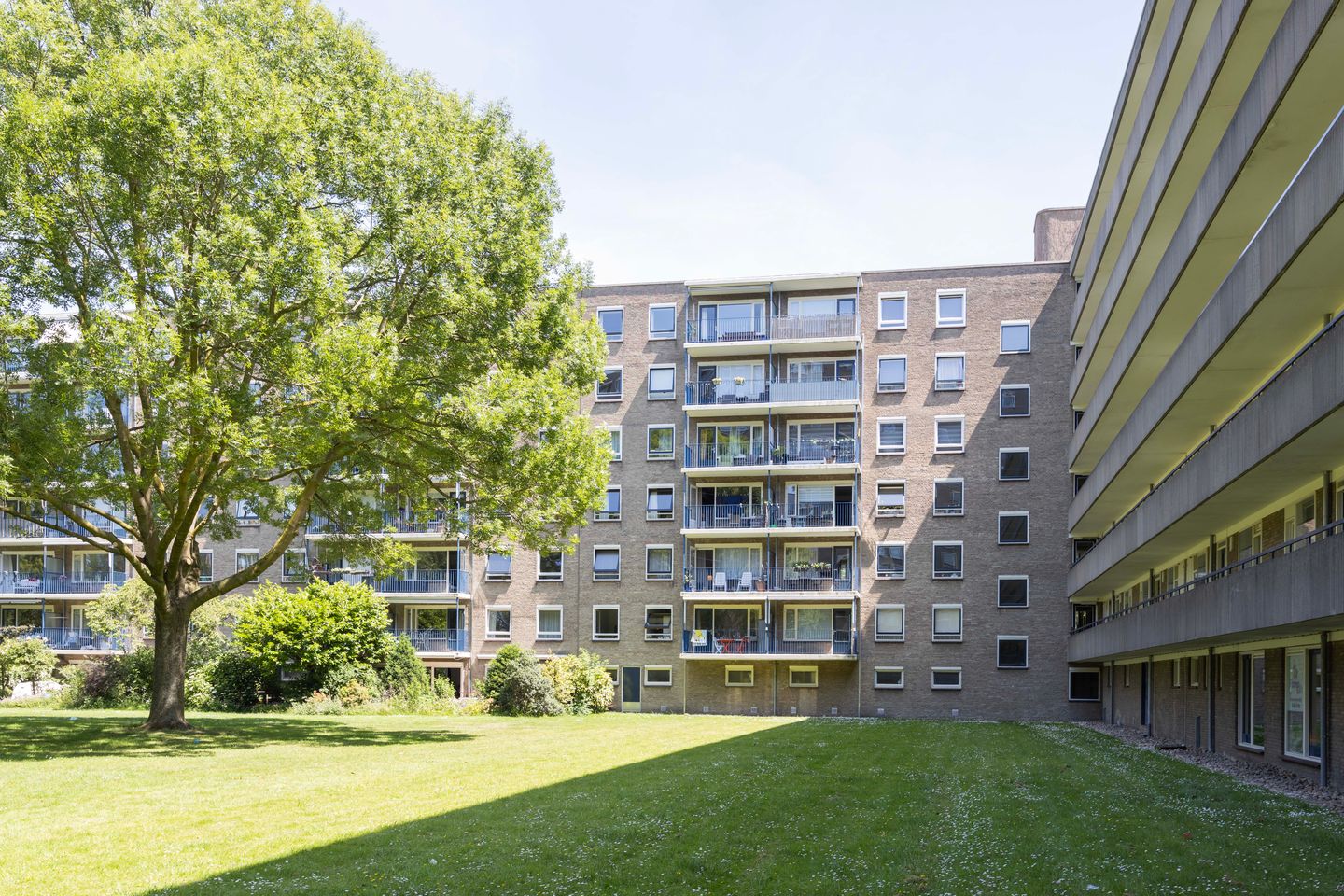 Foto 1 van Aert van Neslaan 612