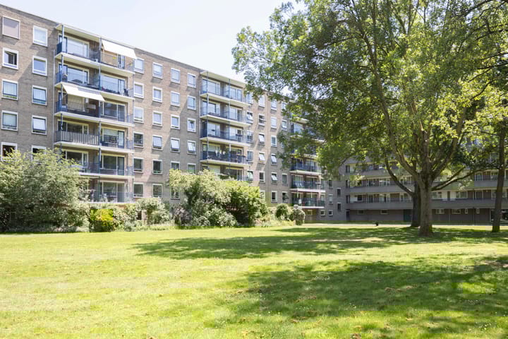 Foto 39 van Aert van Neslaan 612