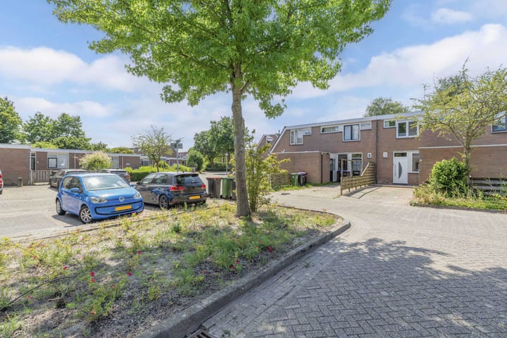 Photo 38 of Kamp 21 5