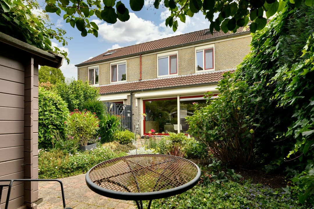 Photo 1 of Jonge Linde 4