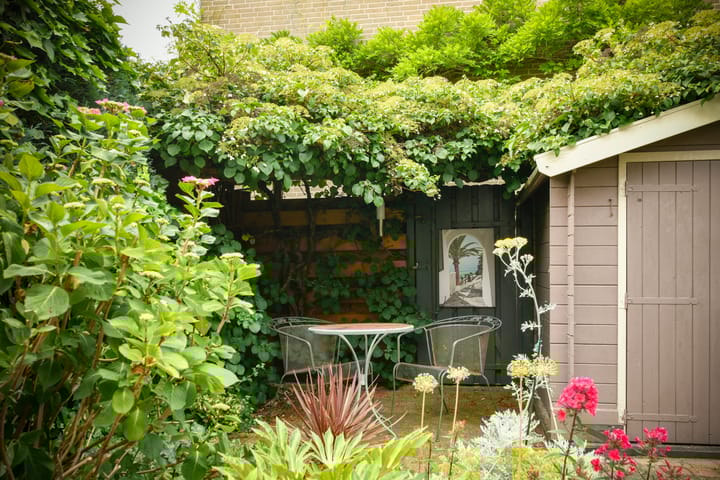 Foto 5 van Jonge Linde 4