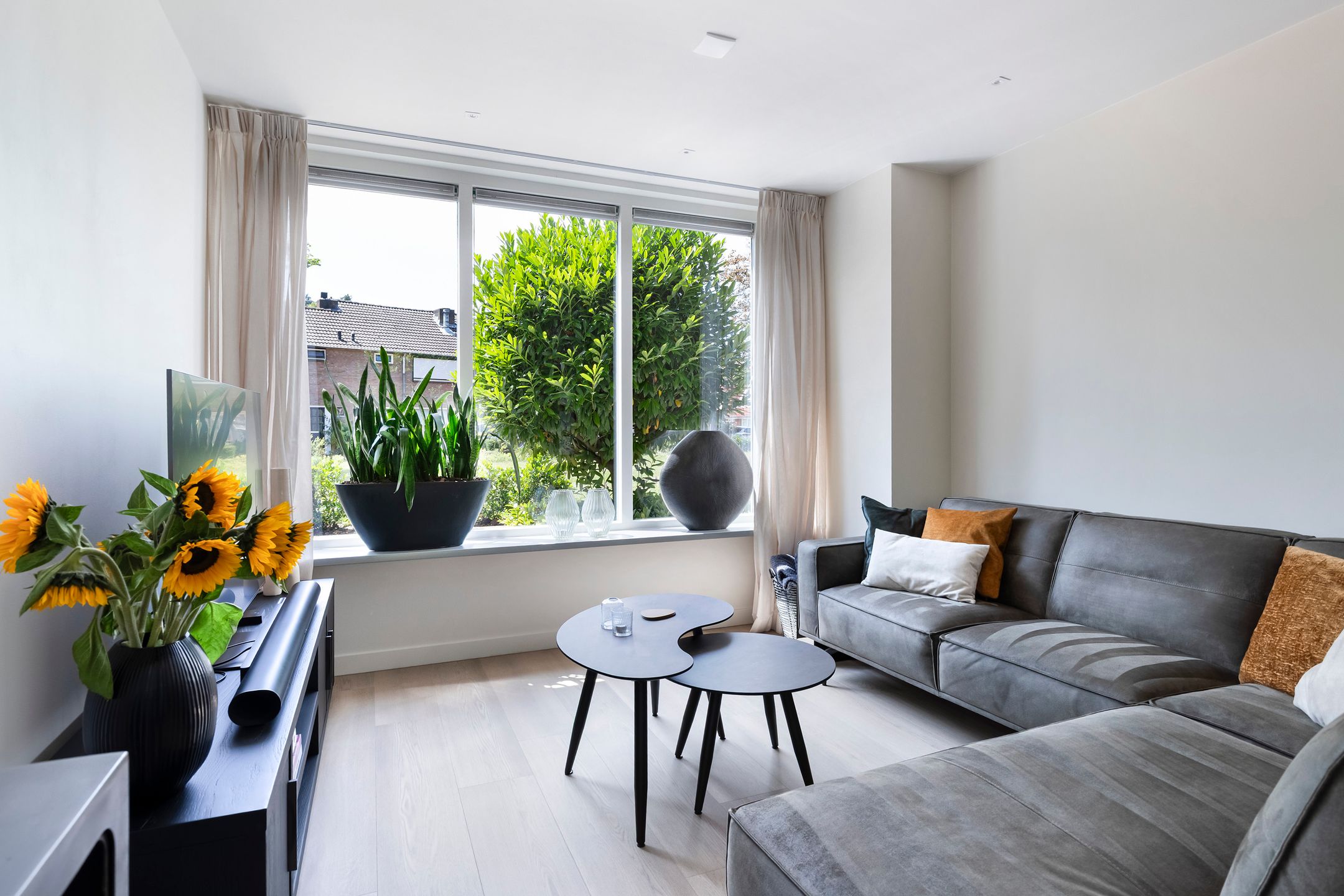 Foto 9 van Rozenstraat 61