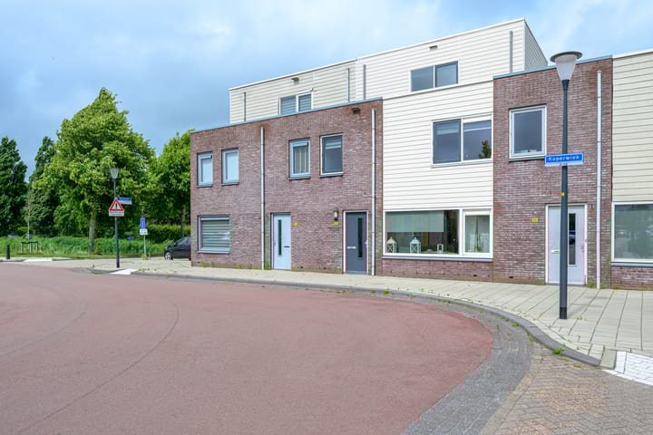 Foto 29 van Koperwiek 12